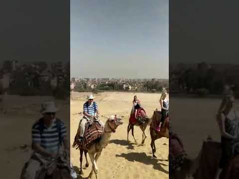 Camel Ride / Egypt trip 2018