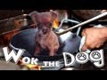 Dog Meat Eating Festival in China | China ...