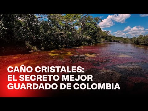 La Macarena: el municipio que resurgió de la violencia y es hogar del río más hermoso del mundo