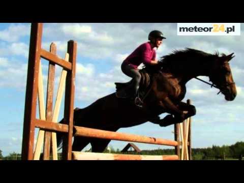 Zajazd i Restauracja Nad Stawem - Modrzewie meteor24.pl