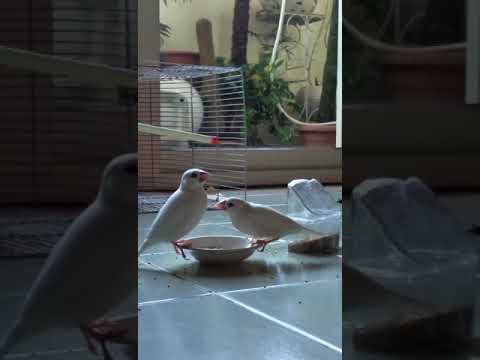 relationship 💖💖💖 #youtubeshorts #your rasna# రసజ్ఞ#subscribe