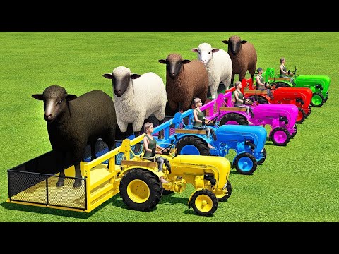 TRANSPORTING SHEEPS WITH PORSCHE MINI TRACTORS & HARVESTING   Farming Simulator 22 #farmer #fs22