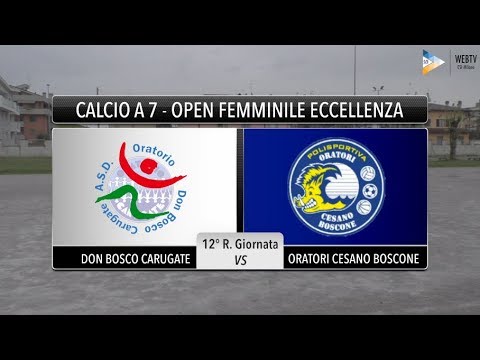 Sintesi Don Bosco Carugate - Oratori Cesano Boscone