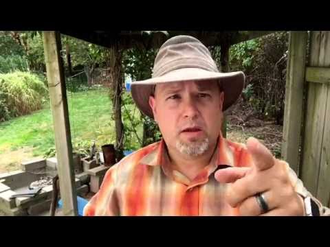 O que considerar ao comprar um chapéu Tilley – T3, LTM5, TMH55