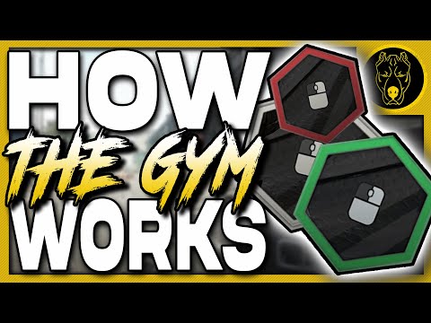 EVERYTHING You Want to Know About the Hideout Gym - Escape From Tarkov GUIDE