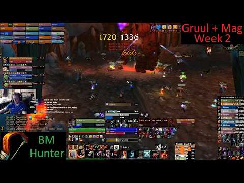 Gruul + Mag - BM Hunter PoV - Week 2 TBC - 3-2-26