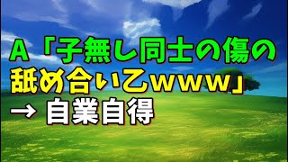 【スカッとひろゆき】A「子無し同士の傷の舐め合い乙www」 → 自業自得