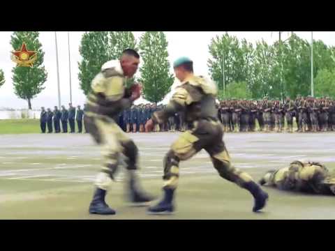 Beeindruckende Kampfsport-Demonstration eines russischen Spezialeinsatzkommandos
