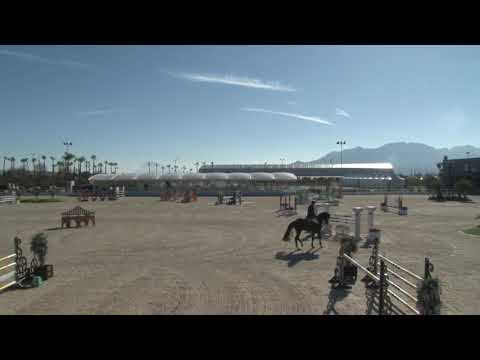 Necofinoin Spanien von Nerrado- Acorado -Dirk Ahlmann