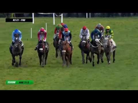 Carmin D'Oudairies - Pau 4-Y-O Hurdle (Runner-up moved to Willie Mullins) [02/01/16]