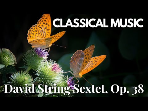 Ferdinand David - String Sextet, Op. 38