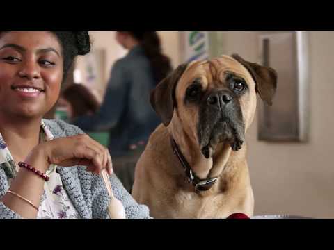 Five Star® 2017 Commercial Chaos In The Cafeteria