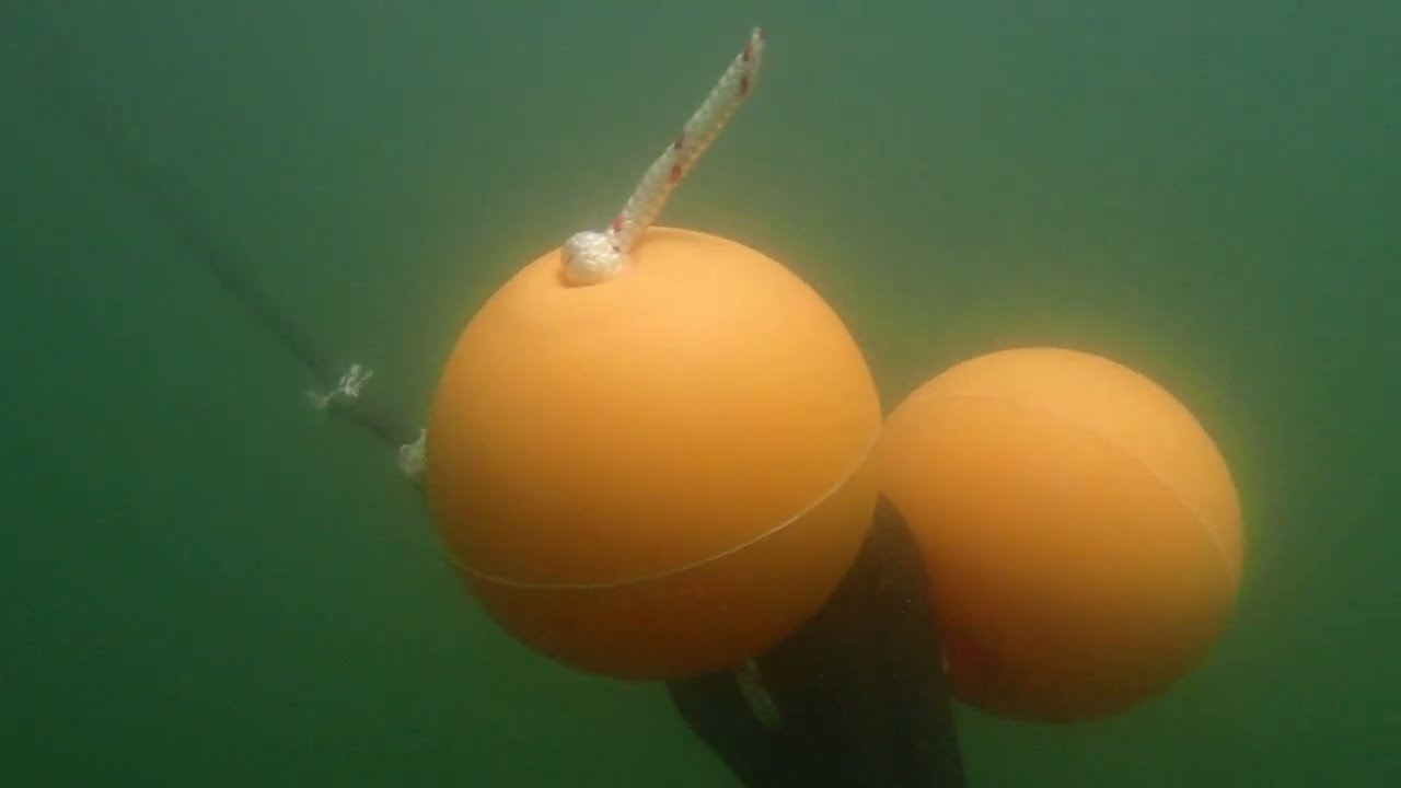 Hydrophone on a newly installed ecomooring