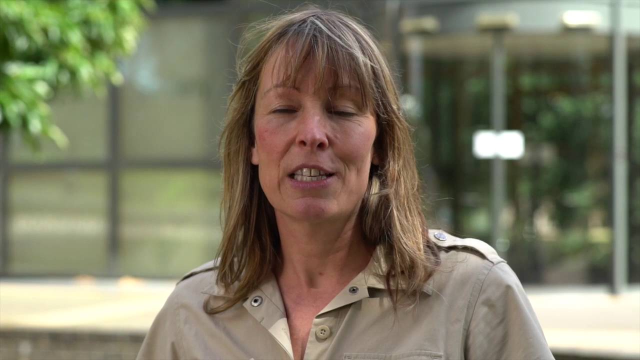 British Breeding Futurity 2016