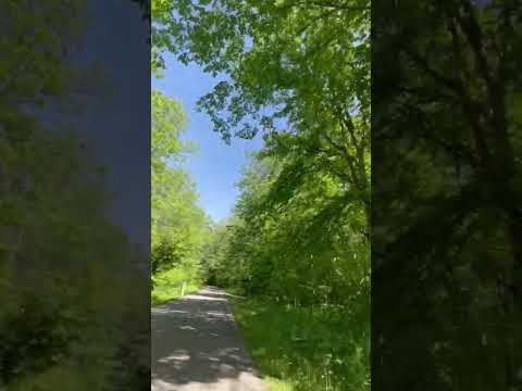 Biking on the Root River Trail
