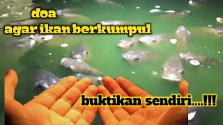 Download lagu doa pemanggil ikan II pemaser dan pemancing silahkan mencoba..ampuh. mp3