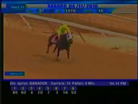 Copa Dama del Caribe 2010