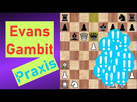 Gegner in 16 ZÜGEN besiegt!!! Das Evans Gambit in der Praxis