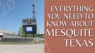 Everything You Need To Know About Mesquite TX