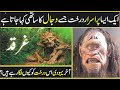 Real Story Of Gharqad Tree Gharqad Ka Darakht Dajjal The Tree Of Jews Spotlight Facts URDU