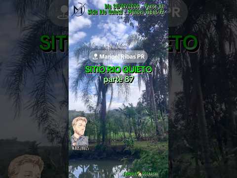 #Parte87 #Sítio #RioQuieto #dia 20/07/2026 #ManoelRibas #Paraná #Brasil #Natureza #Agro #frutas