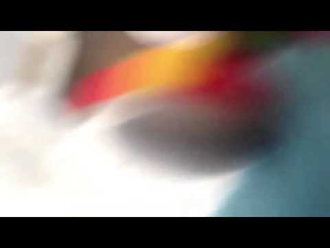 S.T.K Derp Adventures EPISODE 2 Hide And Seek