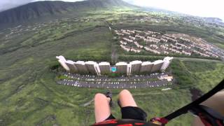 The Dust Brothers - Medulla Oblongata