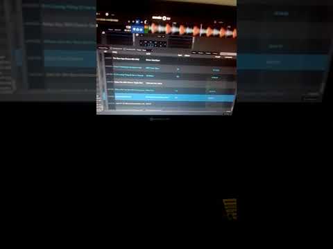 Angel dj alligator is vocal trance