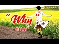 Why ~ Tiggy (KARAOKE VERSION)