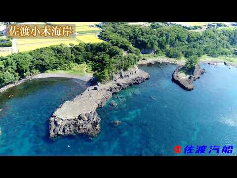 【佐渡空撮】小木地区のジオサイト（隆起波食台）