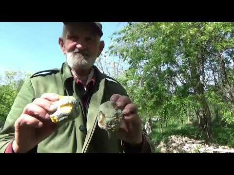 Bugaszegi szösszenetek - A Janibácsi nem politizál