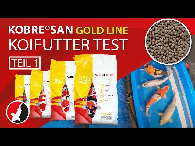 Video Teaser für "Kobre®San Gold" Koifutter Test - Teil 1