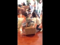 Matthew B Day 2013 3