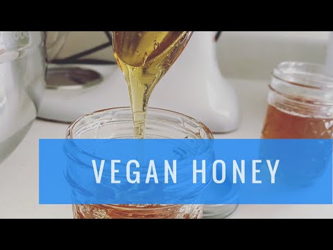 MAKE DANDELION HONEY 🍯 WITH US! — “poor mans honey”