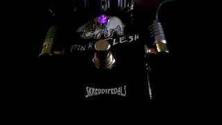 Video thumbnail for Skreddy - Pink Flesh (Comparison 2 of 8) by Dennis Kayzer