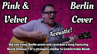 SURPRISE! Pink and Velvet - Berlin Cover - Acoustic