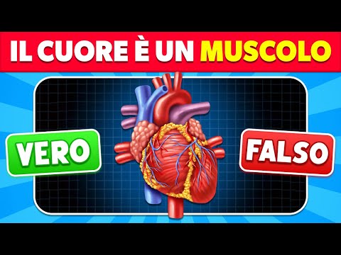 Riesci a Superare questo Quiz sul Corpo Umano?