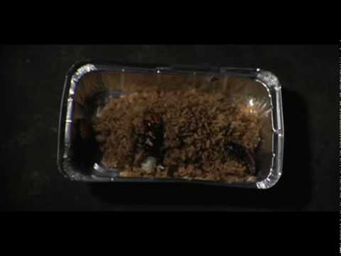 Sundance Channel - The Captive