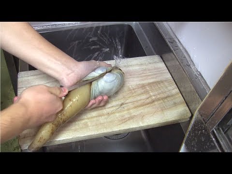 download lagu mp3 mp4 Mirugai Clam, download mp3 Mirugai Clam free downloadn, video klip Mirugai Clam