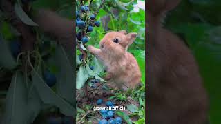 Download lagu shairana si hai zindagi... #nature #love #status #2024 #viral mp3