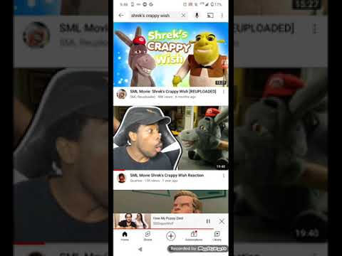 Mr 464's owner of the greater Good rant on Sssniperwolf and The Purge