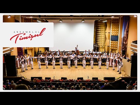 Ansamblul Timișul  Tineret