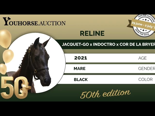 Reline just under the saddle