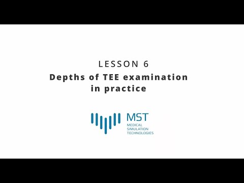 MST Masterclass - Lesson 06 - Depths of TEE examination in practice
