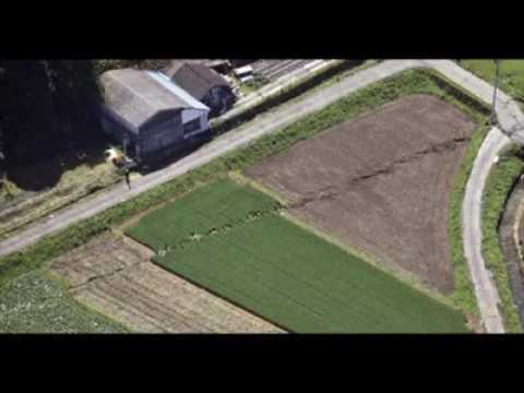 Diramore, Suwa Junko - The Window (Friend) Japan+Myanmar duo-languaged version