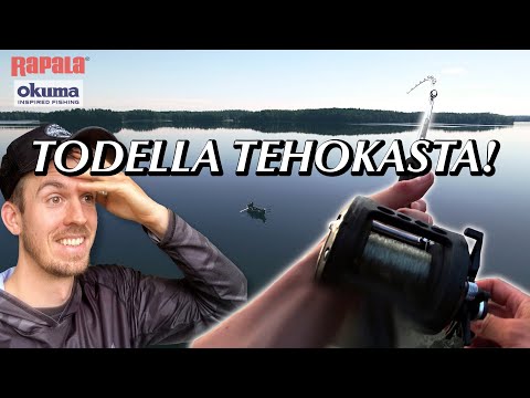 ENSIMMÄISTÄ KERTAA UISTELEMASSA KUHAA, AHVENTA JA HAUKEA