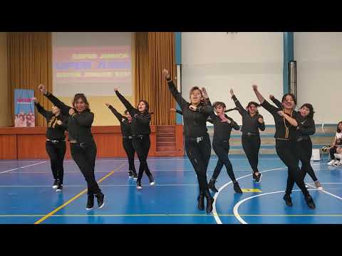 SUPER JUNIOR (슈퍼주니어) "Mamacita" - Dance Cover Ladies of Winter 241119