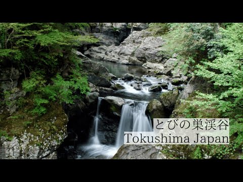 清流が奏でる渓谷美/とびの巣渓谷 Tobinosu Canyon
