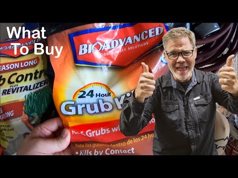 How To Get Rid of GRUBS in the Lawn // What To Use For GRUBS