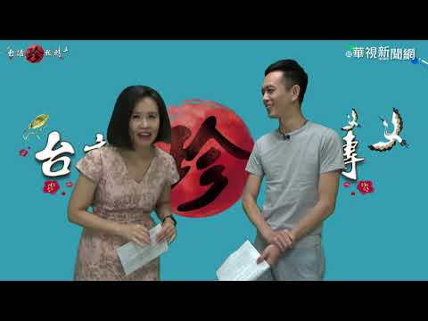 【台語珍輪轉】同婚專法過關 粉紅經濟準備好了